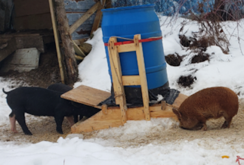 how-to-build-a-portable-pig-feeder